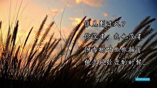 澳门风云经典语录