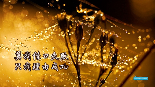 笑话段子金猫侠