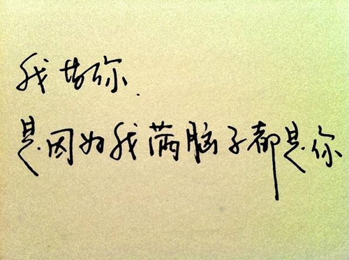 土味情话表白节目