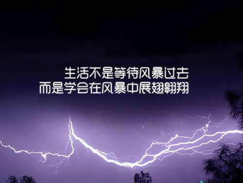 关于c语言的幽默诗词