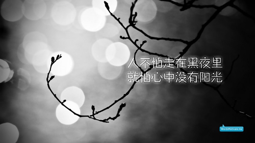 关于木棉花的爱情句子