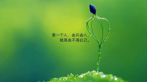 促进情侣关系的情话
