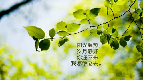 最简短的励志日语句子