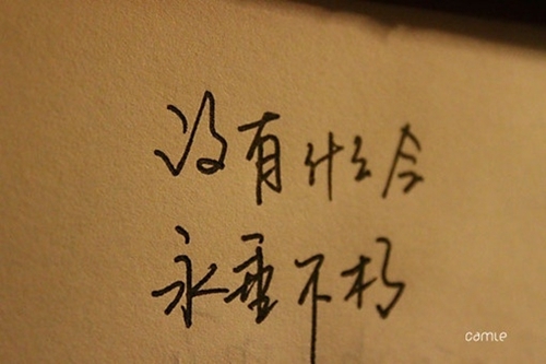 两字有诗意的网名女生网名