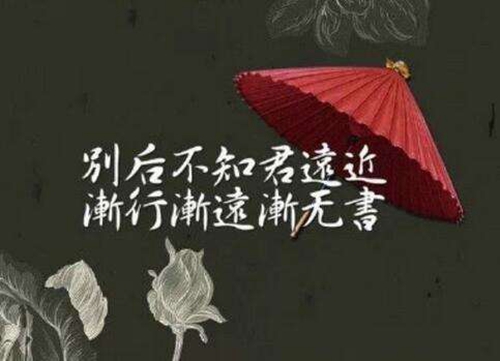 2023年爱情变为亲情的句子