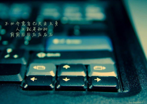 婚前感动女人的句子