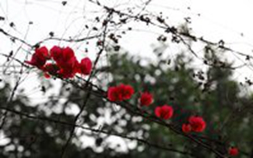 行业经典笑话