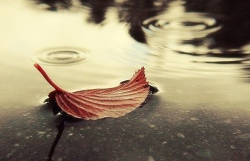 雨天情话图片大全唯美