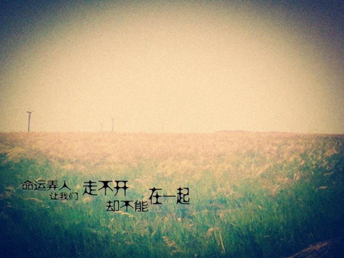 陈智煜名字可以改成什么网名呢
