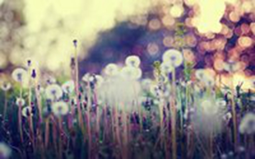 六月儿童节幽默短信