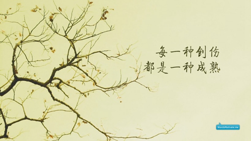 关于自在的说说句子