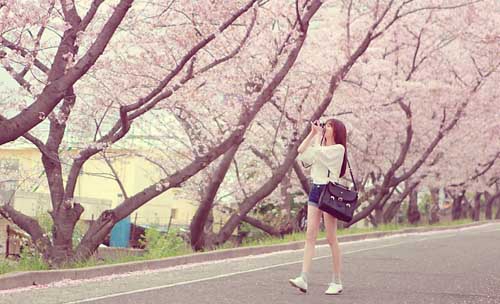 雨花石歌曲唯美句子