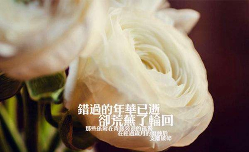 武汉疫情感恩的句子
