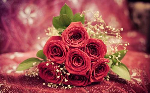 《教师节祝福语朴实温暖》推荐20条