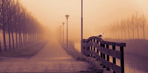 活着不够的情感句子（少听网上那些毒鸡汤的句子）