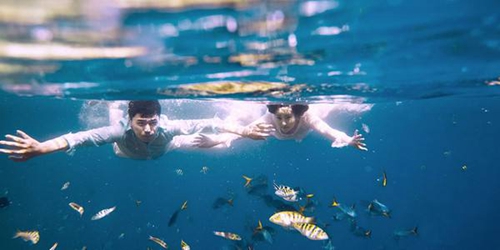夏长情话给男朋友的生日（精选15条）