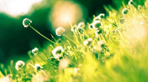 静若繁花的个性签名「诗人和朗诵者QQ说说」