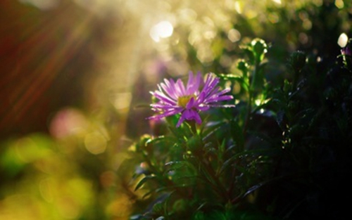 教师节的名人名句