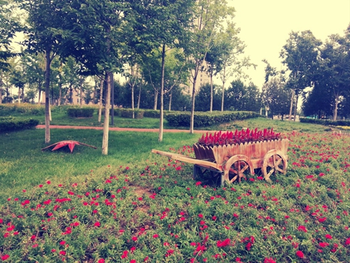 教师节冷笑话 教师节冷笑话