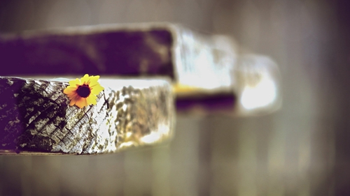 谁要偷走我的心这是什么歌