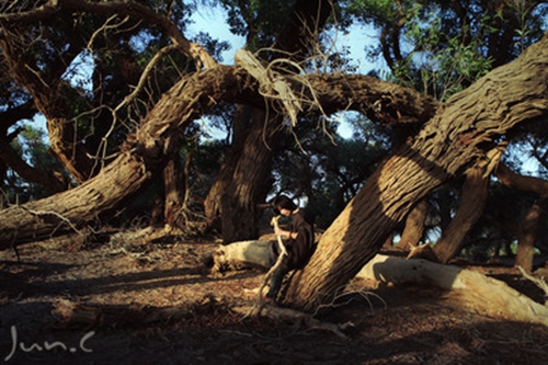 难道你不知道这是什么歌（难道你不知道?）
