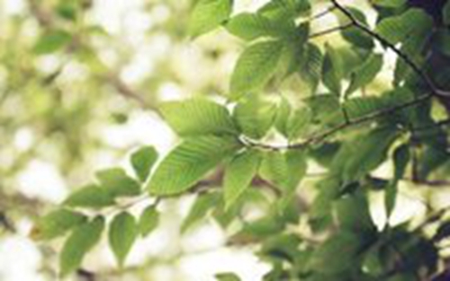 费玉清讲荤菜段子大全（费玉清黄段子）