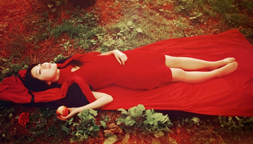 禽毒霸的功效（毒霸兽药）