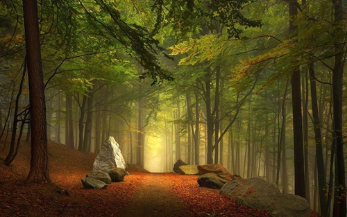 《终极揭秘:太鲁阁不可错过的五大景点》 《终极揭秘:太鲁阁不可错过的五大景点》
