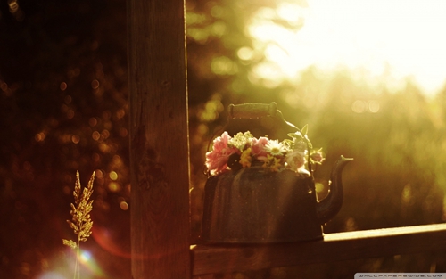 简短说说祝福（销售年会调侃生活搞笑句子）