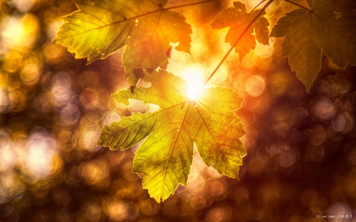 关于汽水的心情语录