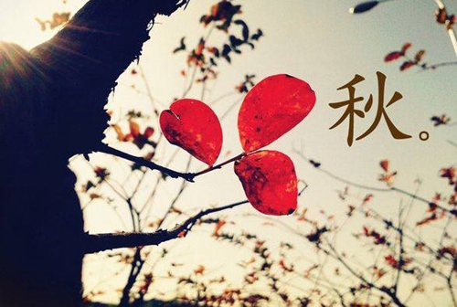 看见彩色的月亮是什么歌