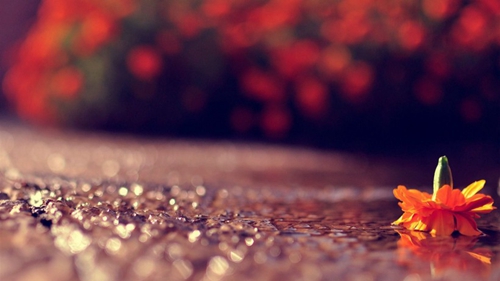 《探索爱的自驾之旅：续写浪漫篇章》