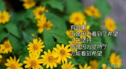 阿杜歌曲大全（歌曲女声经典DJ女声女声翻唱）